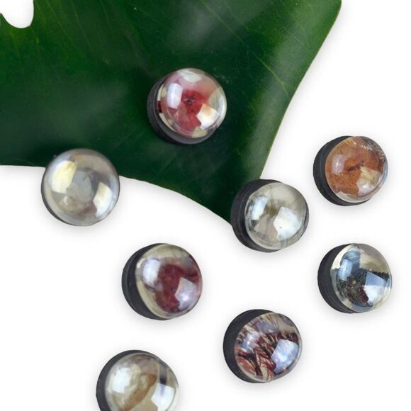 Handmade Glass Sea Creature Magnets  🐙🐠🐋 - Picture 5 of 7